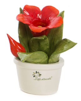 Gli Alberelli - Piantine Profumotte in più varianti