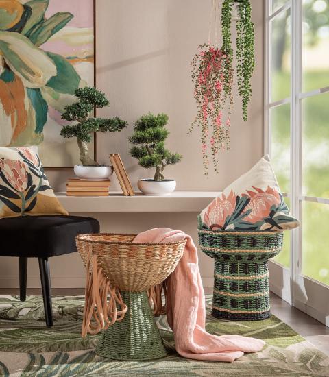 L'Oca Nera - bonsai cedro