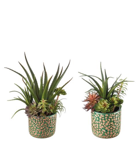 L'Oca Nera - Set 2 Vasi verdi con composizione piante grasse