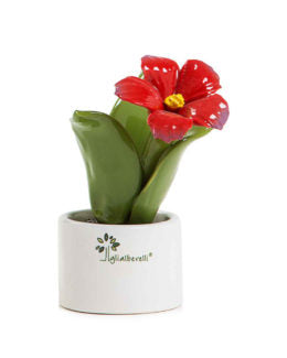 Gli Alberelli - Pianta Natura Mignon in più varianti