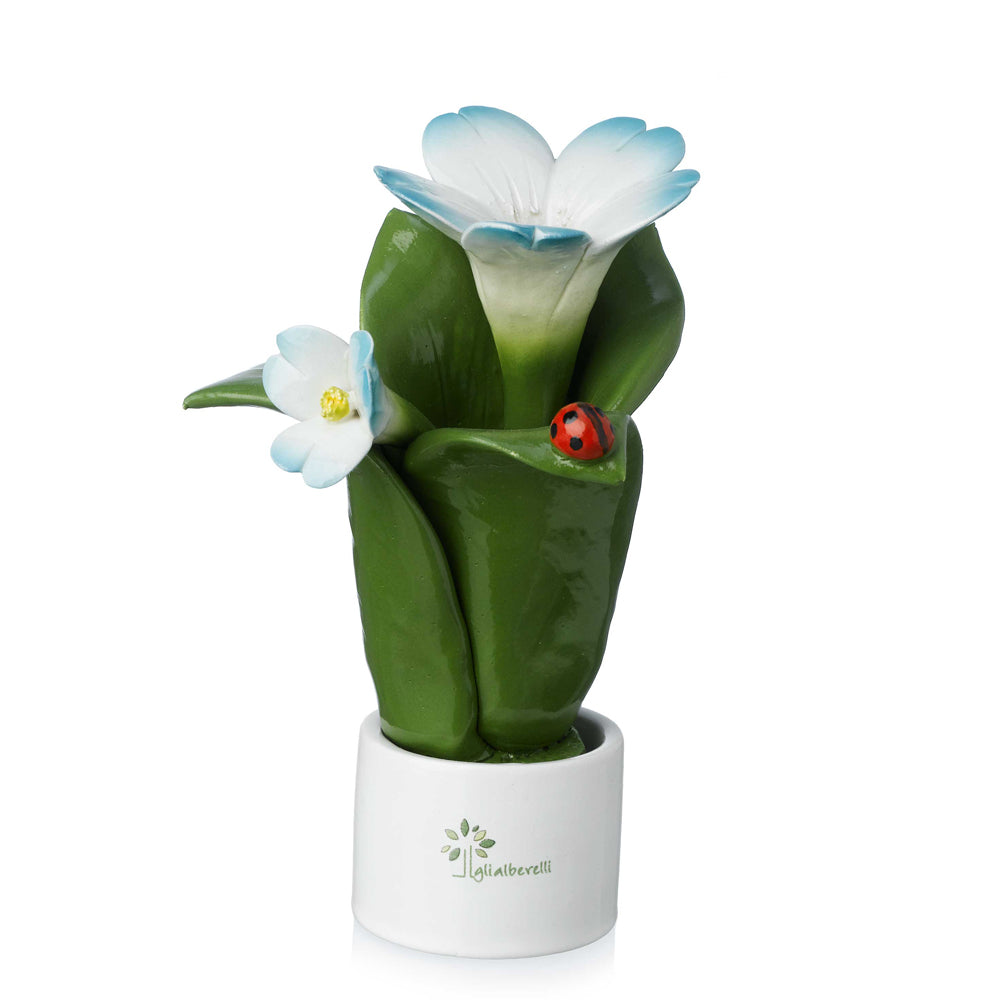 Gli Alberelli-PIANTA NATURA 2 FIORI ELLEBORO