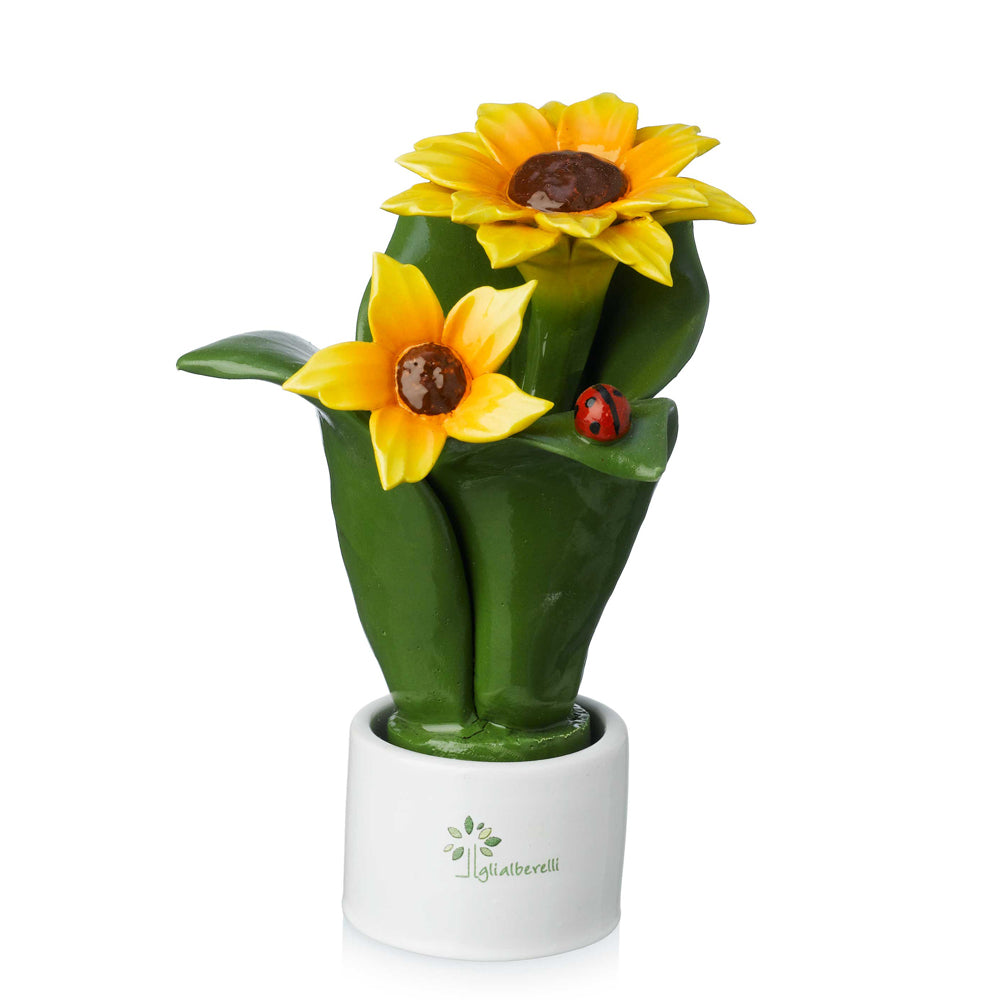 Gli Alberelli-PIANTA NATURA 2 FIORI GIRASOLE