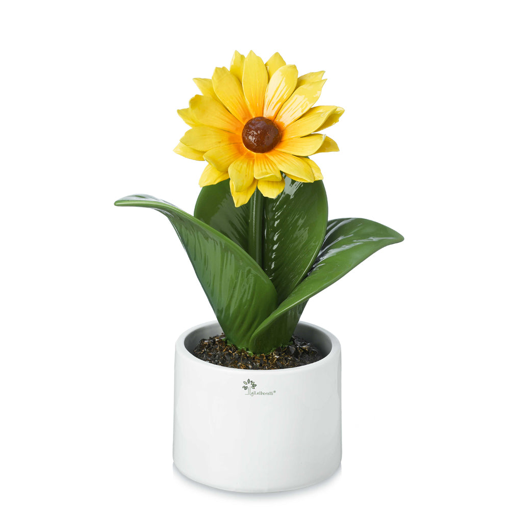 Gli Alberelli-PIANTA NATURA H40 GIRASOLE