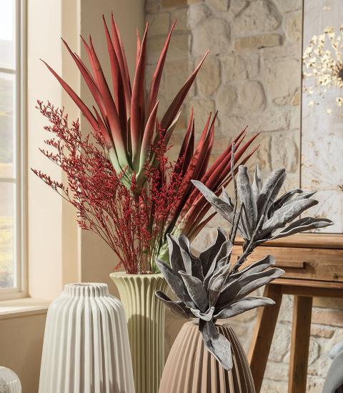 L'Oca Nera - Aloe selvatico marsala