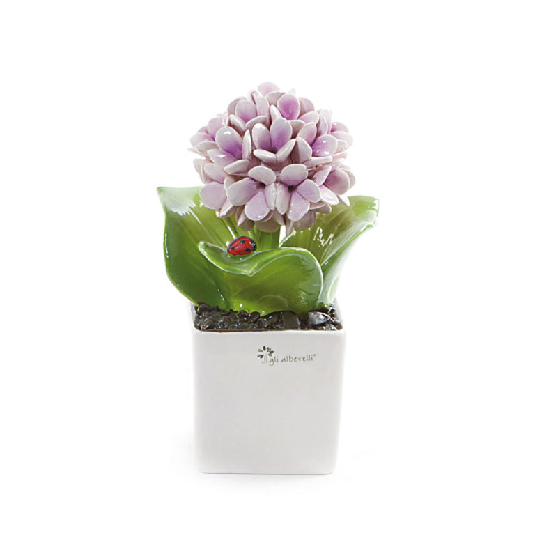 Gli Alberelli - PIANTA QUADRA ORTENSIA