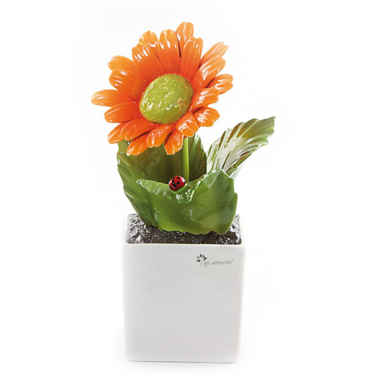 Gli Alberelli - PIANTA QUADRA GERBERA