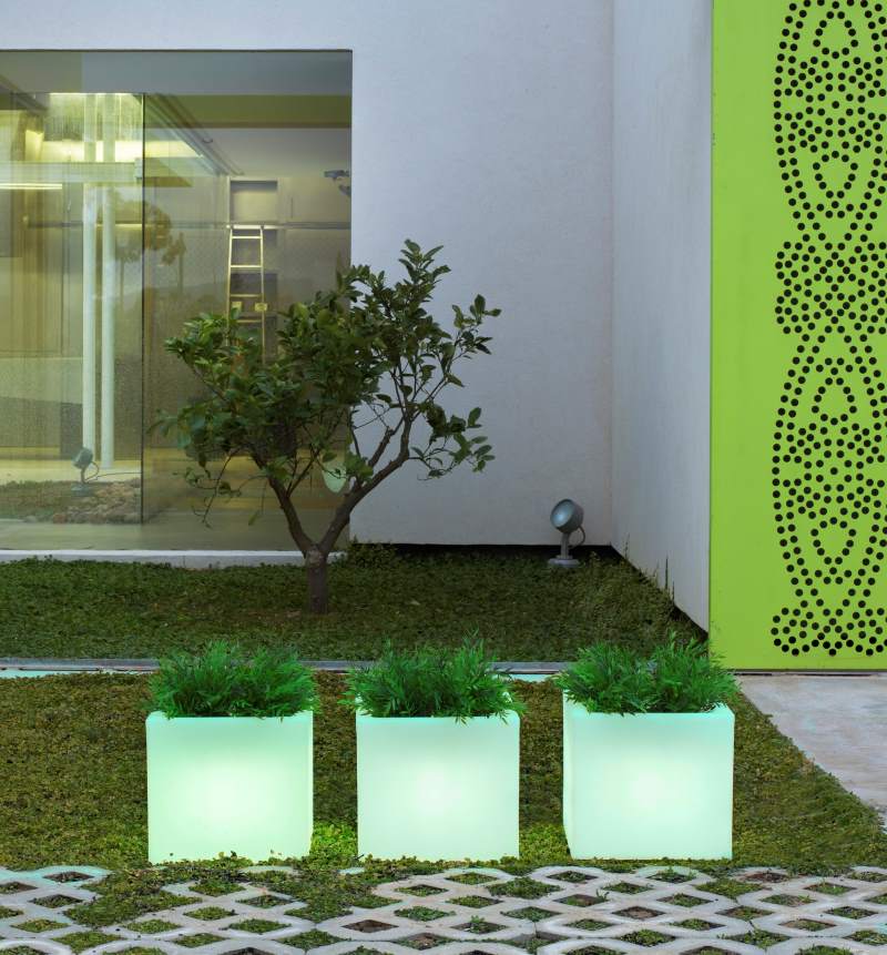 NEW GARDEN- Narciso vaso