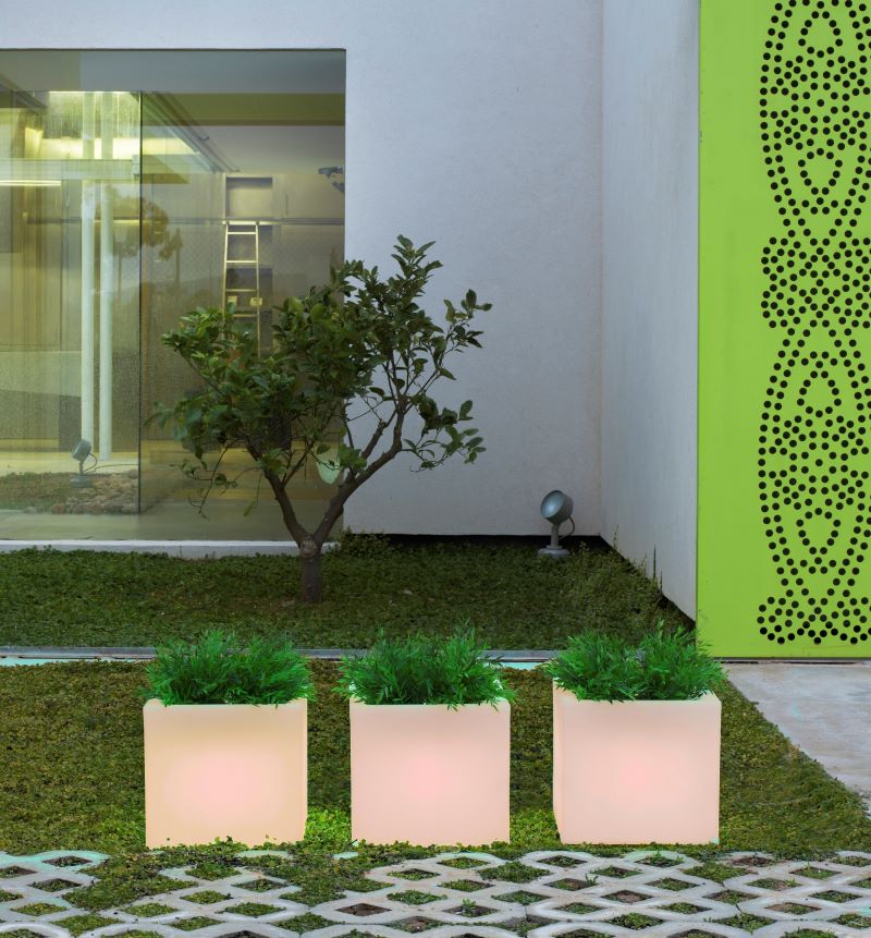NEW GARDEN- Narciso vaso