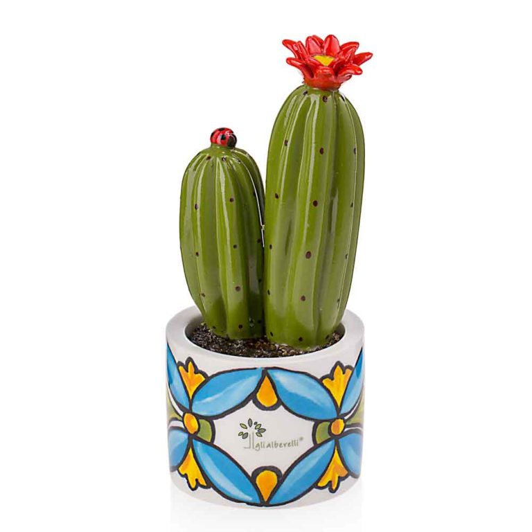 Gli Alberelli - PIANTINA AMICA GRANDE CACTUS – POSITANO