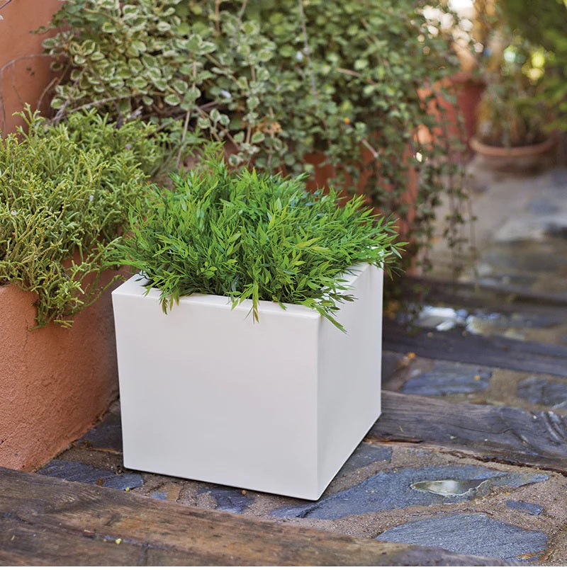 NEW GARDEN- Narciso vaso