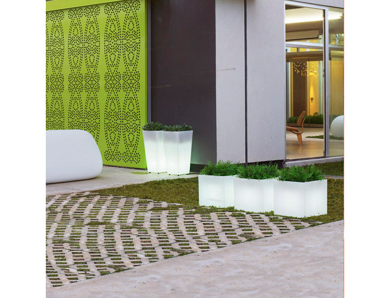 NEW GARDEN- Narciso vaso