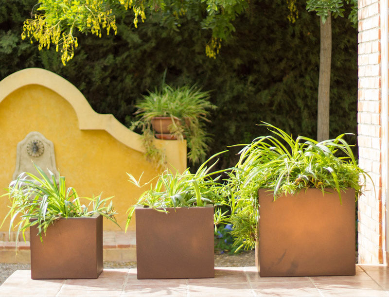 NEW GARDEN- Narciso vaso