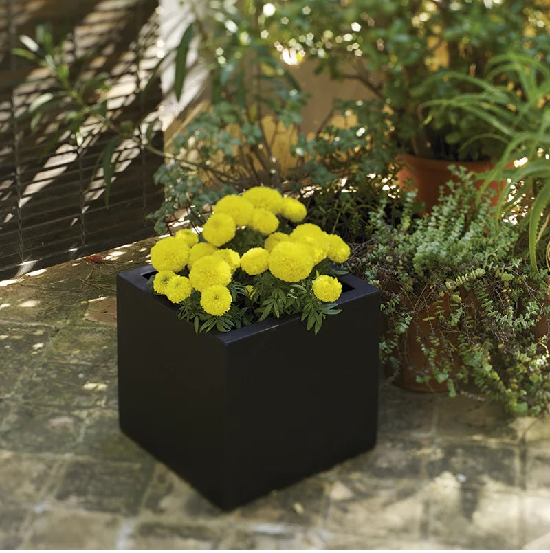 NEW GARDEN- Narciso vaso