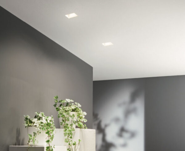 ONDALUCE- Rumba faretto