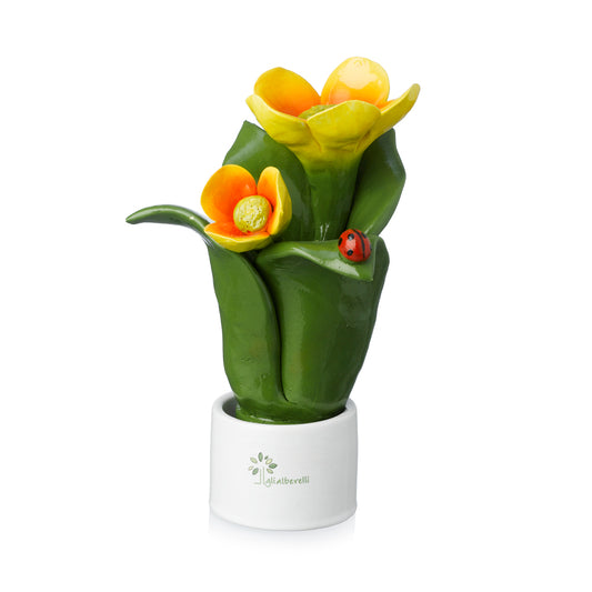 Gli Alberelli-PIANTA NATURA 2 FIORI ARANCIONI