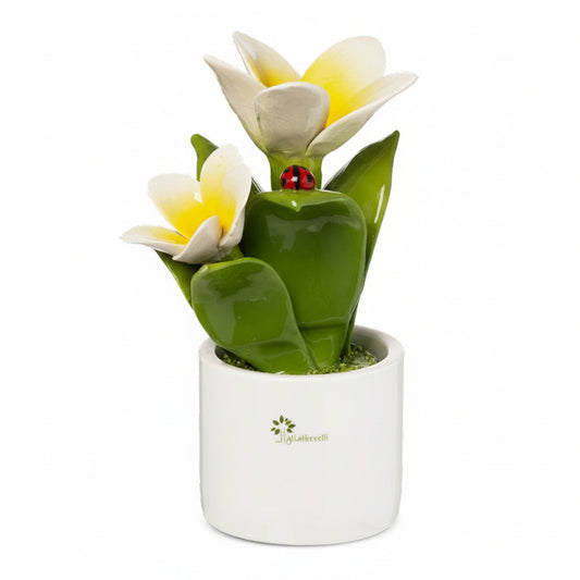 Gli Alberelli- Piantina media frangipane ass