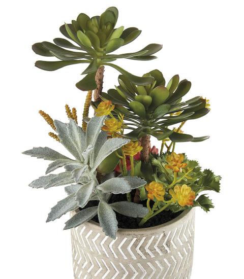 L'Oca Nera - Set 2 Vasi tortora con composizione piante grasse
