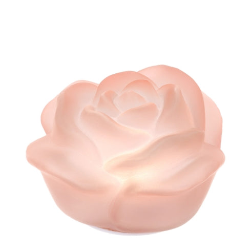 Hervit - Rosa in vetro satinato con luce a led ass