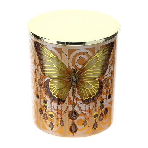 Hervit - Candela animalgem ass.