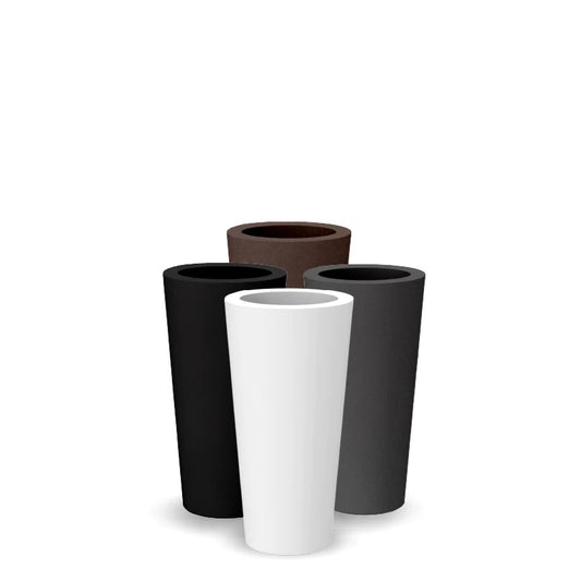 NEW GARDEN- Ficus 60/80 vaso